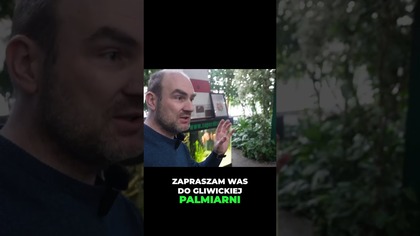 Wystawa Dyskowców #paletki #akwarium