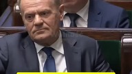 ZASTĘPCA NAWROCKIEGO DO LUDZI TUSKA: JESTEŚCIE JAK PSY GOŃCZE!