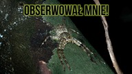 NAJSTARSZA DŻUNGLA w Wietnamie  Cuc Phuong