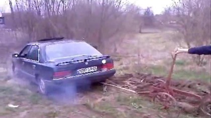 Polak potrafi