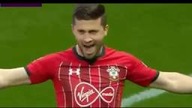 Shane Long - goal in 7 sec. of the match