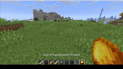 RIP Blaze #minecraft #gaming #Game #Short #Shorts