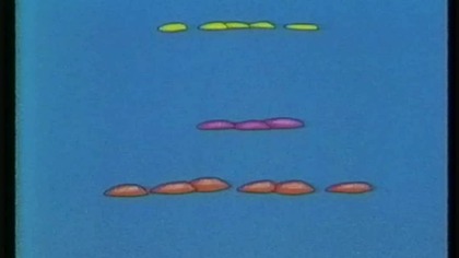 PCK - Animowana piosenka dla dzieci - Witaminki