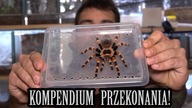 Jak NAMÓWIĆ rodziców na ptasznika? ORAZ co jest POTRZEBNE?