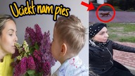 JESZCZE TORBĘ MUSZĘ PAKOWAC - NIE POKAZYWAŁAM SIE