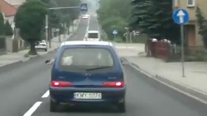 Transport bydła