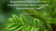 Świadectwo wiary