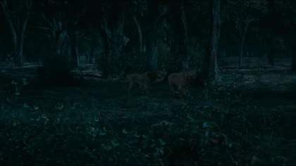 Wszelkie prawa należą do Walt Disney Pictures.

#mufasakróllew #mufasalionking #krollew #króllew #lionking #film #bajka #disney #mufasa #simba #rafiki #sarabi #zazu #skaza #taka #nala #kiara