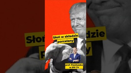 Słoń w składzie porcelany! - prof.  Tomasz Pawłuszko #Trump #RadaPokoju #USA #Putin #polityka