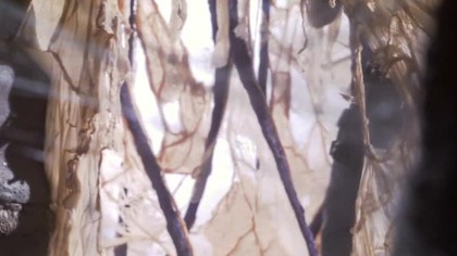 GGWWAA. S01E12