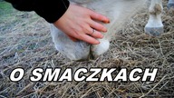 Smaczki-kupować czy robić?