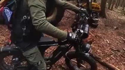 Znalezione w lesie  #short