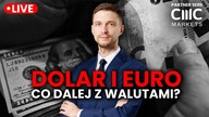 DOLAR, EURO, ZŁOT, FUNT - jaka waluta na drugie półrocze 2025?