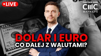 DOLAR, EURO, ZŁOT, FUNT - jaka waluta na drugie półrocze 2025?