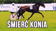 ŚMIERĆ KONIA - co dalej?