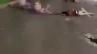 Atak terrorystyczny w Nicei (+18)