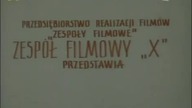 DZIECINNE PYTANIA (1981)