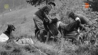 Zwierzęta w służbie wojny - film dokumentalny lektor pl