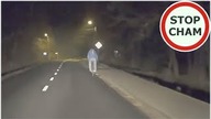 Pan światełka nie ma z tyłu ...  ale czy ja do tyłu patrze?! #980 Wasze Filmy