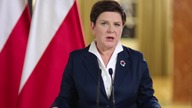 Beata Szydło masakruje Greya