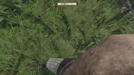 Gramy w Kingdom Come Deliverance 2 - PS5 PRO LIVE [LIVE!]