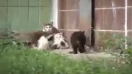10 najlepszych przeróbek FUS RO DAH