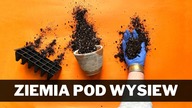 Jaka ziemia do wysiewu nasion ? Jak przygotować podłoże do wysiewania nasion ?