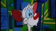 Pinky i Mózg S01E01 - Das mysz (LEKTOR)