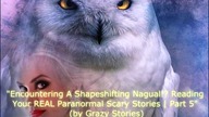 some cool true shapeshifter encounters stories from online