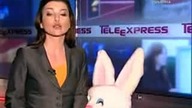 Wpadka w teleexpressie