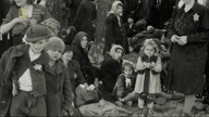 Z Notatnik&oacute;w Nazist&oacute;w 2013