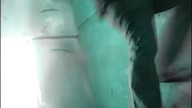 SMOG - EloE noise 