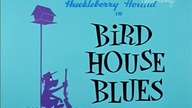 Pies Huckleberry 16 Ptasia budka blues