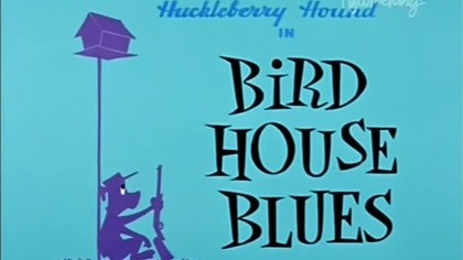 Pies Huckleberry 16 Ptasia budka blues