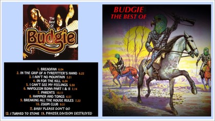 Best of Budgie