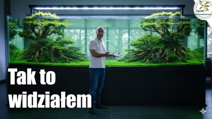 Zakładam gigantyczne akwarium  3 metrowe akwarium! 