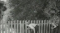 (1940)TheApe. ING