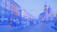 Podziemne zycie krakowskich piwnic [CAŁY FILM LEKTOR PL]