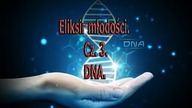 DNA.  Eliksir młodości.  Cz.  3.
