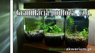 Granulacja podłoża cz1.