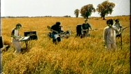 Mafia - Piaskiem w oczy