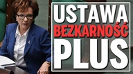Ustawa bezkarność plus - skrót debaty w Sejmie