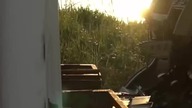 Urbex porzuconego kampera w Albanii #vanlife #podróże #kamper