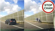 Pirat w Audi niemal wjeżdża w pieszych na autostradzie A2 #902 Wasze Filmy