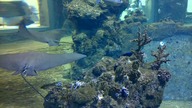 AFRYKARIUM WROCŁAW 13 08 2023 (2)