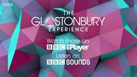 Glastonbury 1998 Nick Cave & The Bad Seeds (1998)