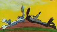 Rozkodowany Bugs Bunny 14 (Dubbing PL)
