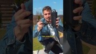 Ten ROBOT zastąpi ci OGRODNIKA 