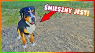 FARMING SIMULATOR 19 - BAWIMY SIĘ Z PSEM I HODUJEMY KONIE!