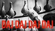DAJ DAJ DAJ